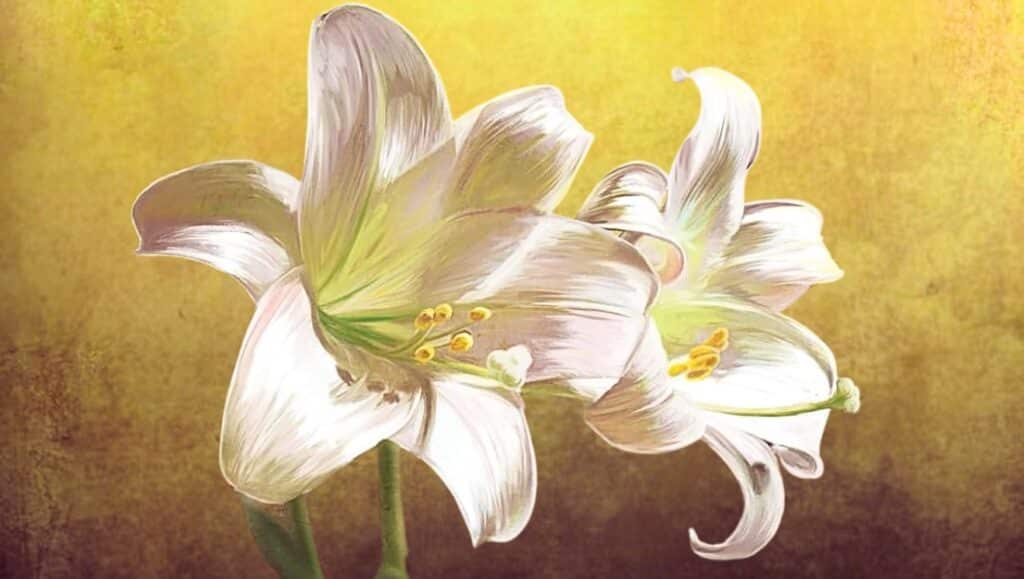 Liturgical Home Easter Crop