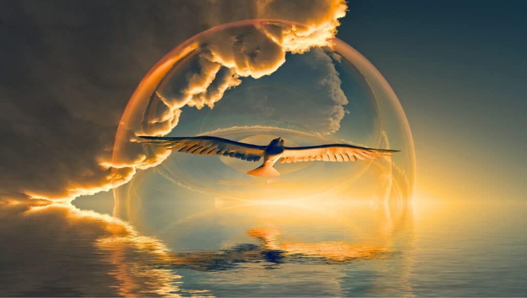 Holy Spirit dove over water. For "With the Father and the Son is worshiped and glorified"