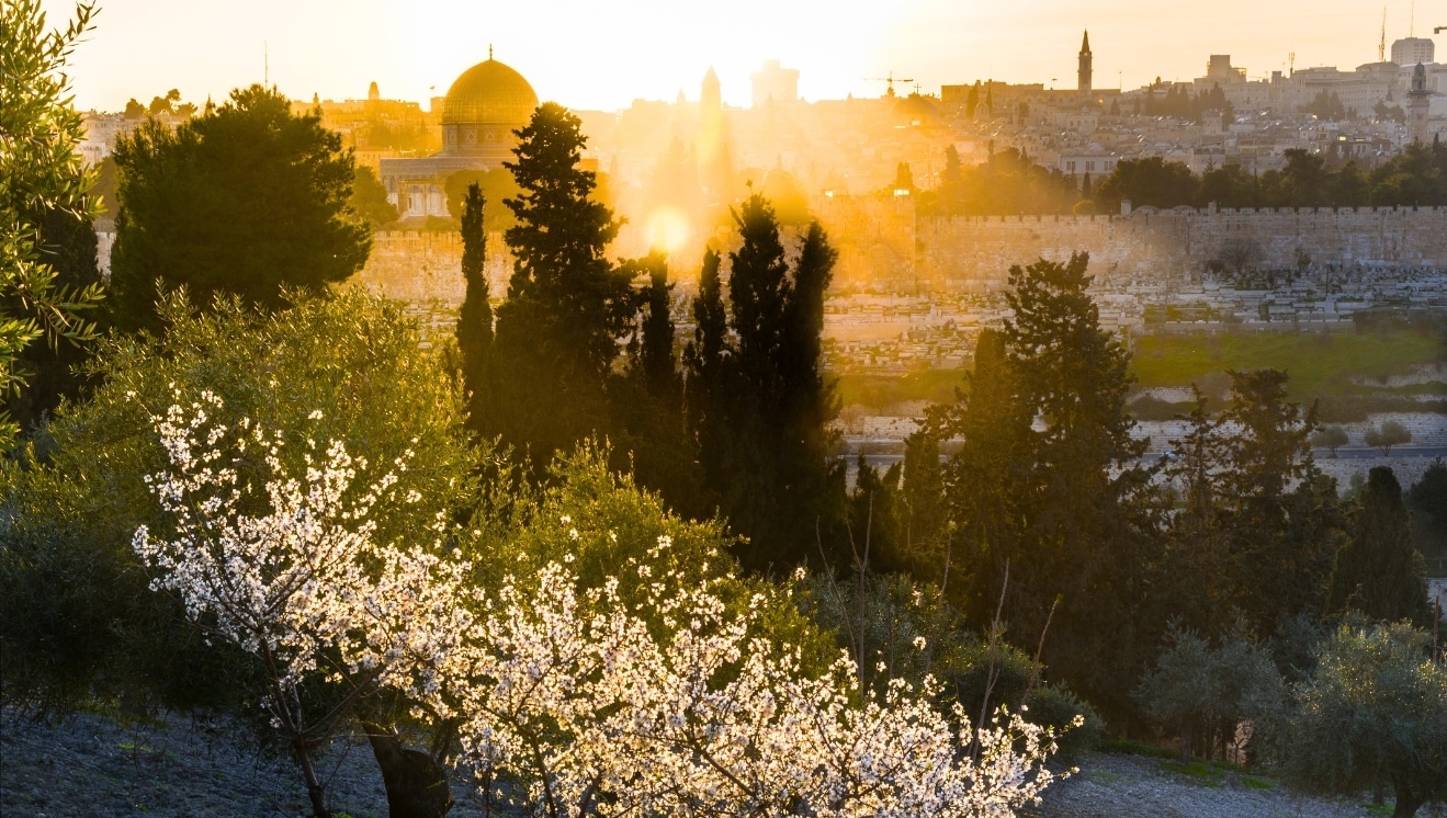 Protestant Articles - Jerusalem
