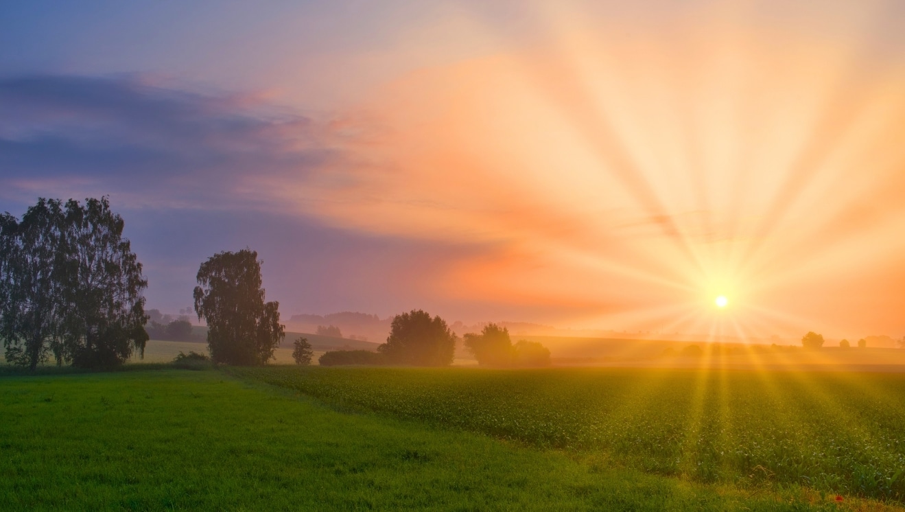 Morning Over Field - Faithfulness